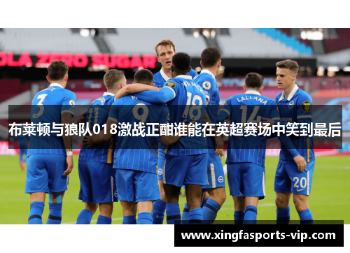 布莱顿与狼队018激战正酣谁能在英超赛场中笑到最后